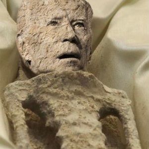 Meet your Posher, Timothy